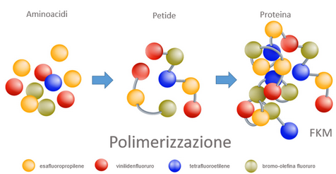 Polimeri Memoria Di Forma.Polimeri Xpolymers